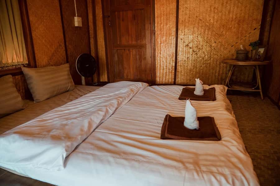 Chiang Mai 2-Day: Good Morning Elephant & Overnight Homestay - Price and what you truly get for $128 per person