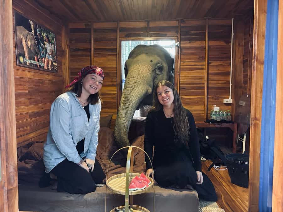 Chiang Mai 2-Day: Good Morning Elephant & Overnight Homestay - Ethics and interaction style: how to match the program to your comfort