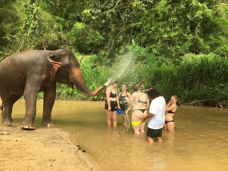 Chiang Mai: 2-Day Jungle Trek with Elephant Farm & Raft Ride - How This 2-Day Chiang Mai Trek Really Plays Out