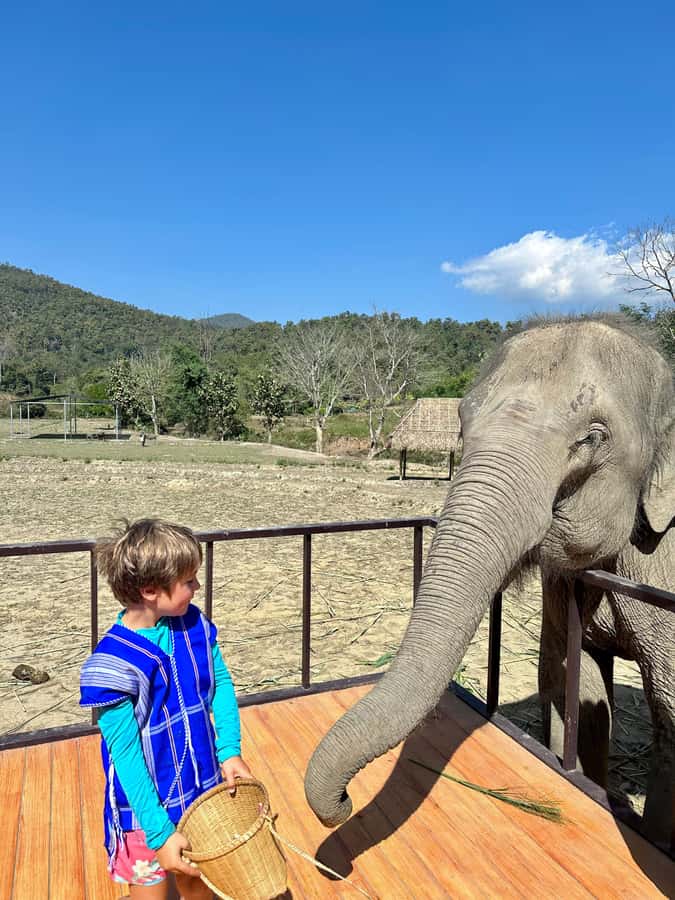 Chiang Mai: 2-Day Tour with Rafting, Elephants, and Waterfall - Key highlights that make this tour work