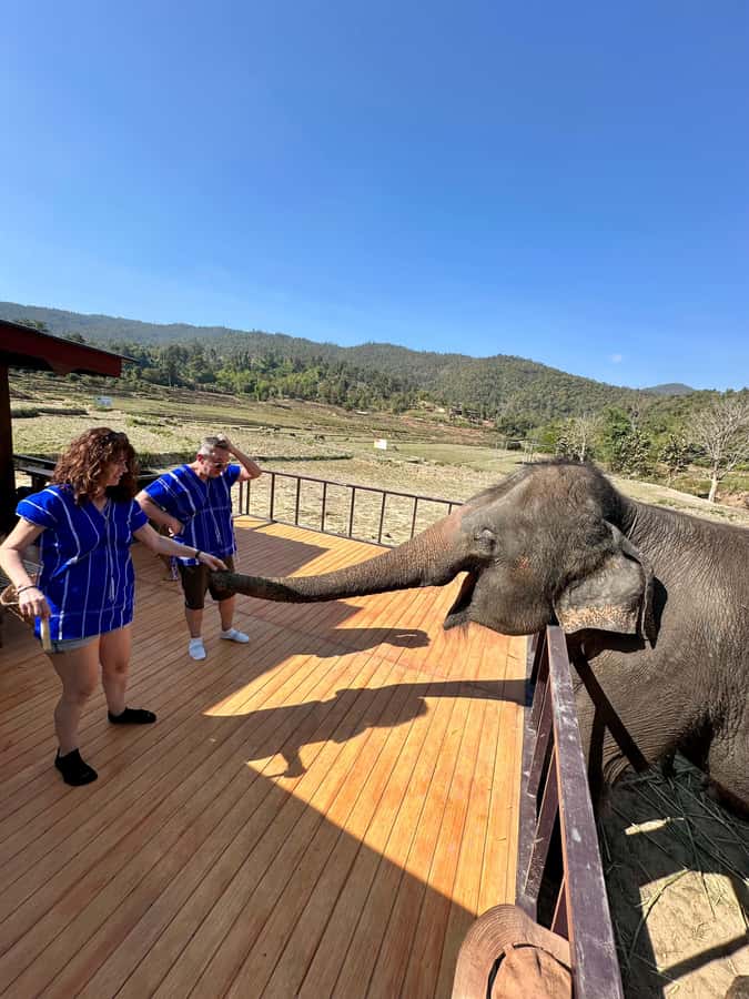 Chiang Mai: 2-Day Tour with Rafting, Elephants, and Waterfall - Who should book, and who should skip it