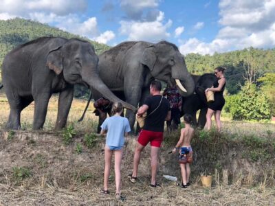 Chiang Mai: 2-Day Tour with Rafting, Elephants, and Waterfall - Bamboo rafting on the Mae Wang River: wet, fun, and fast