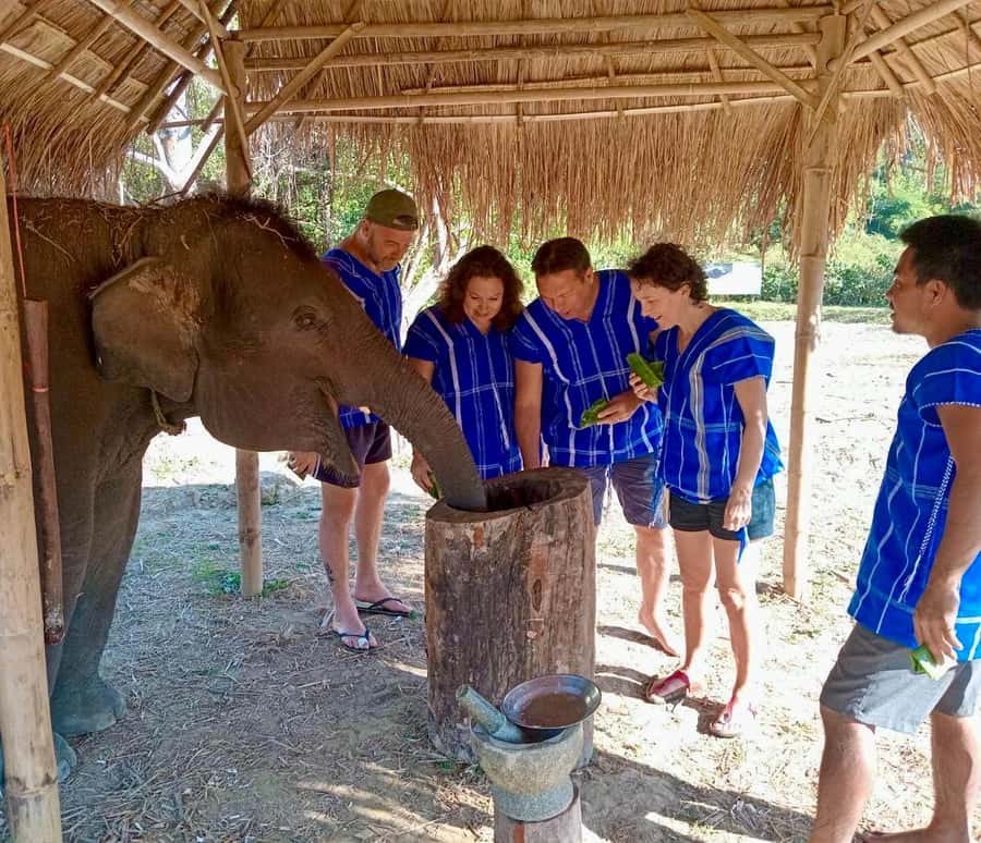 Chiang Mai: 2-Day Tour with Rafting, Elephants, and Waterfall - Dinner in the jungle and sleep beside a waterfall