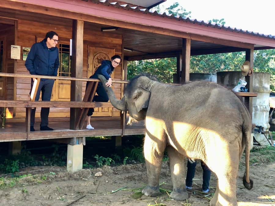Chiang Mai: 2-Day Tour with Rafting, Elephants, and Waterfall - Elephant bathing in the river: why it’s more than a photo moment