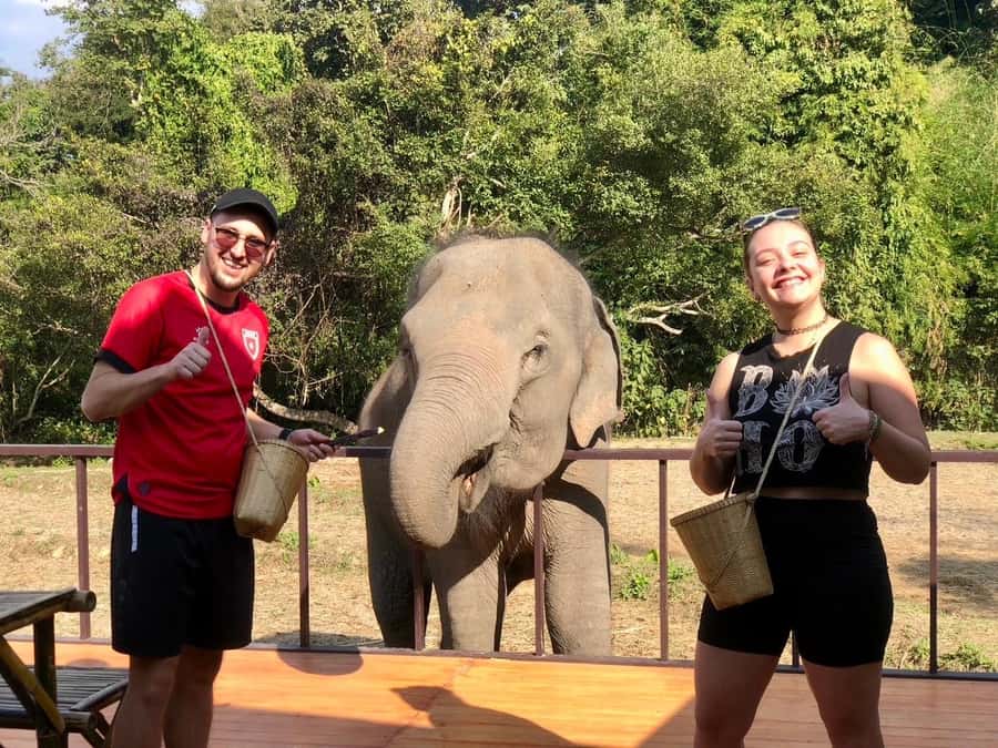 Chiang Mai: 2-Day Tour with Rafting, Elephants, and Waterfall - Price and value: what $173 includes that most add-ons don’t