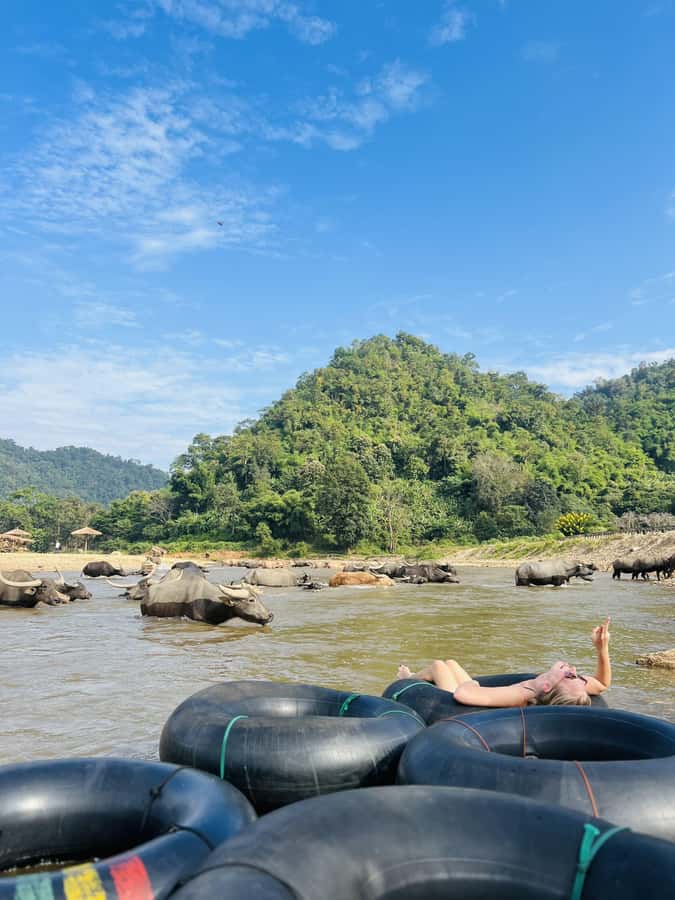 Chiang Mai 2-Day: Trekking, Tubing, Waterfalls & Elephant - Price and Value: Why $107 Can Make Sense Here