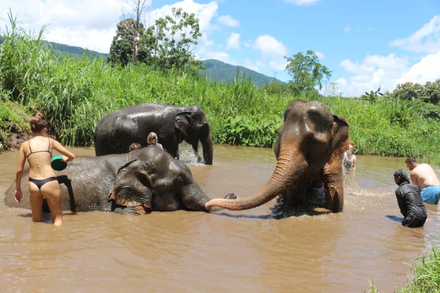 Chiang Mai: 2 Days, 1 Night Non-Tourist Trek - Day 2: breakfast, a shorter trek, waterfall time, and bamboo rafting