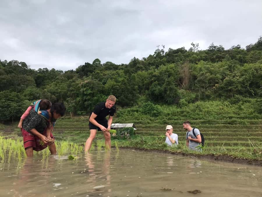 Chiang Mai: 2 Days, 1 Night Non-Tourist Trek - Price and value: what $144 buys you in 2 days