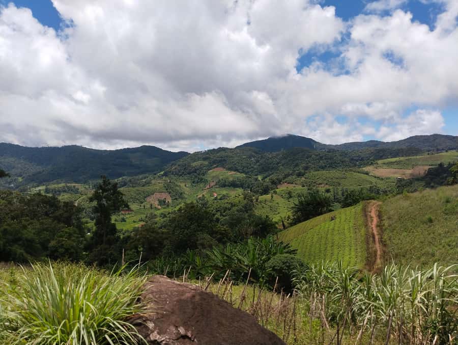 Chiang Mai: 2-Days Chiang Mai Amazing Trek - Day 1 forest trek: riverside paths, terraced farmland, and a hidden waterfall