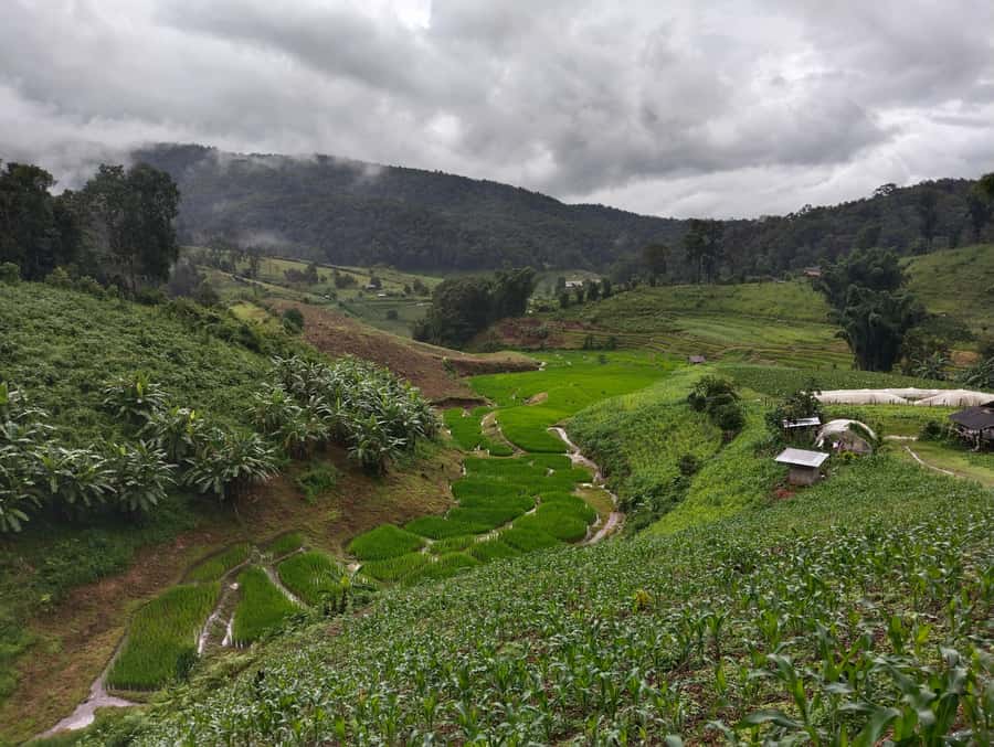 Chiang Mai: 2-Days Chiang Mai Amazing Trek - Karen hill tribe homestay: cozy evening comfort with basic basics