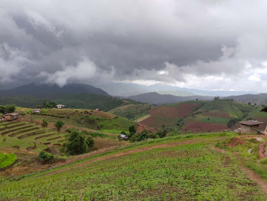 Chiang Mai: 2-Days Chiang Mai Amazing Trek - Price and value: is $108 worth a temple, homestay, trekking, and rafting?