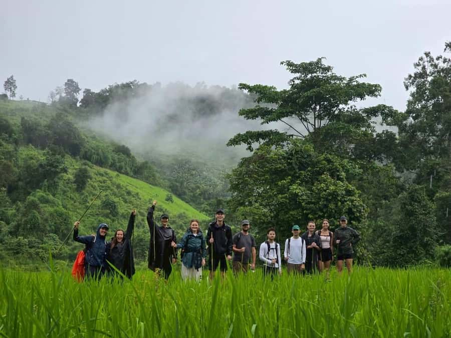 Chiang Mai: 2-Days Jungle Trek, Waterfalls and Karen Village - Price and value: what $96 covers in real effort and real experiences