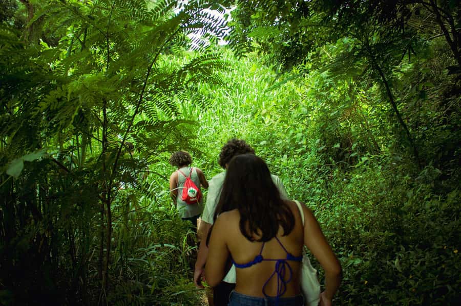 Chiang Mai: 3-Day Karen Hill Tribe Immersion with Trekking - Why this Karen trek feels like a homestay, not a tour