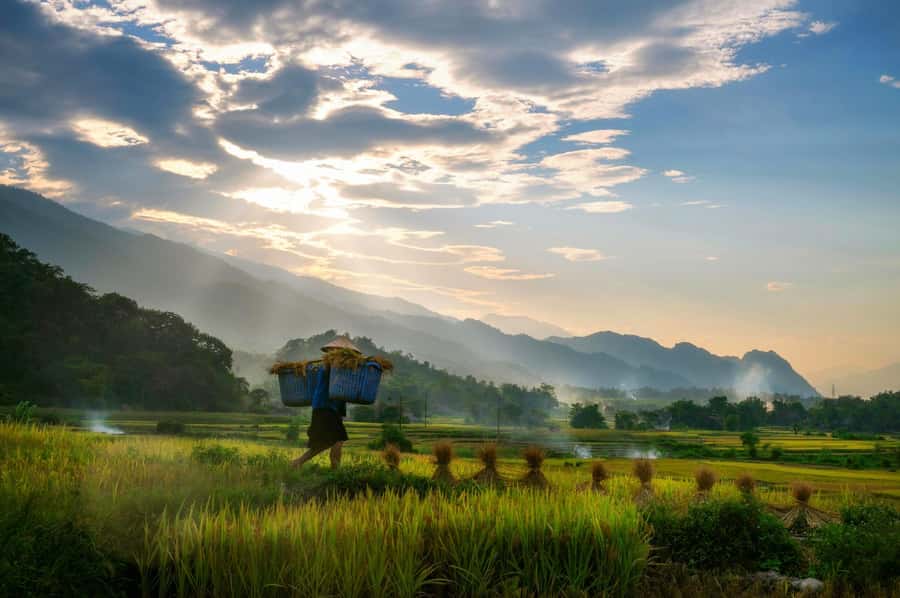 Chiang Mai: 3-Day Karen Hill Tribe Immersion with Trekking - Day 1: Forest paths, waterfall lunch, and campfire cooking