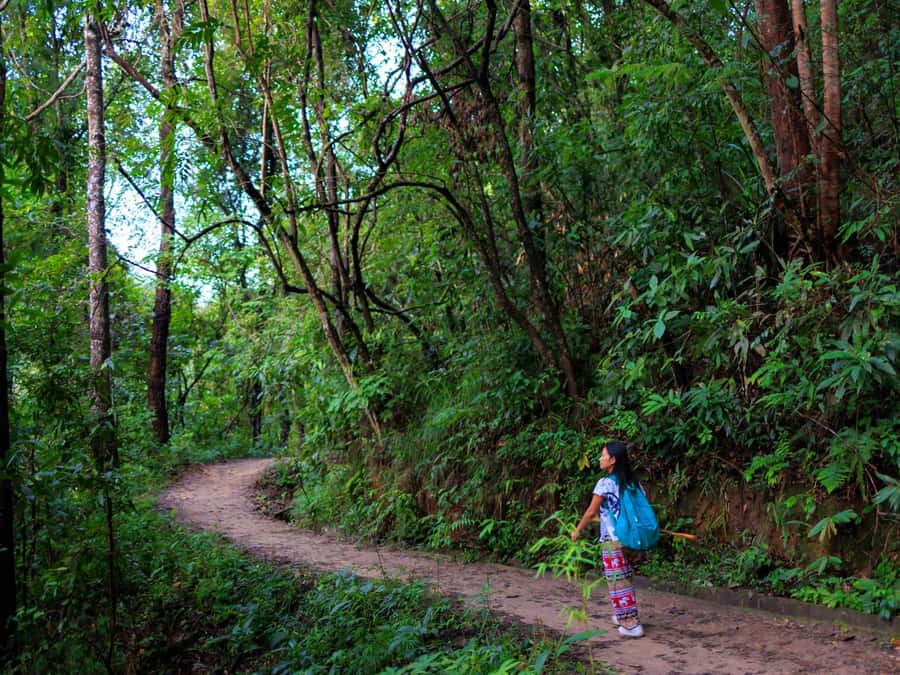 Chiang Mai: 3-Day Karen Hill Tribe Immersion with Trekking - Camps, showers, and the off-grid reality you should plan for