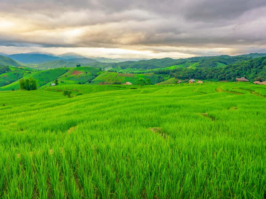 Chiang Mai: 3-Day Karen Hill Tribe Immersion with Trekking - Food: local, simple, and built for energy