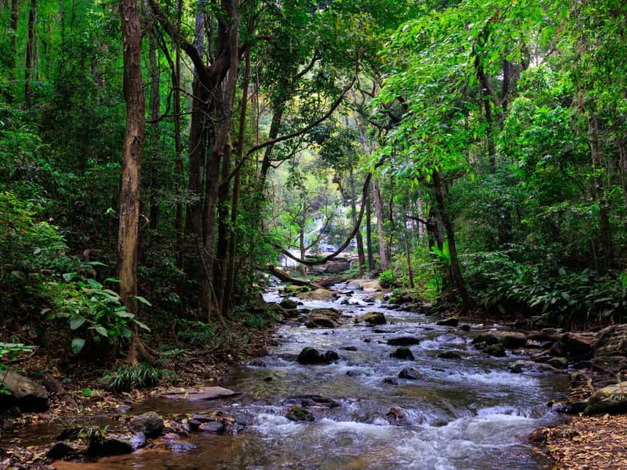 Chiang Mai: 3-Day Karen Hill Tribe Immersion with Trekking - Price and value: is $158 a fair deal for 3 days?