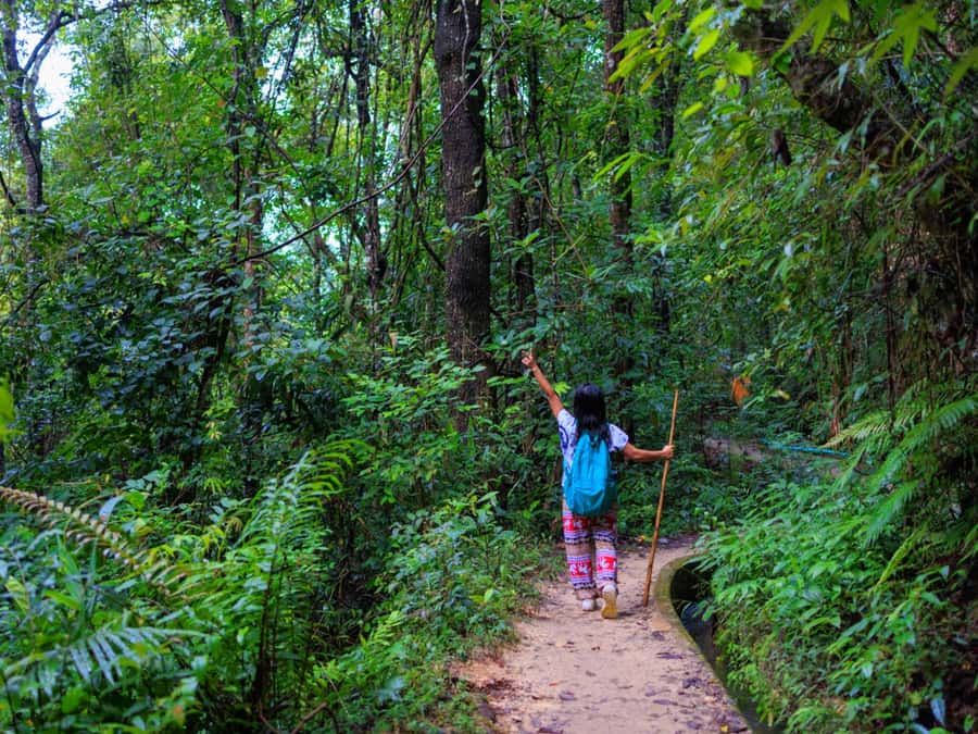 Chiang Mai: 3-Day Karen Hill Tribe Immersion with Trekking - Getting from Chiang Mai: early pickup and a mountain day start