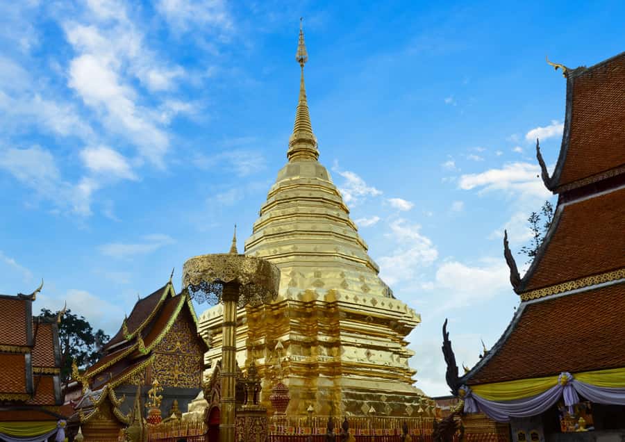 Chiang Mai: 4-hour Doi Suthep, Wat Umong, & Wat Phalat Tour - The fast temple loop: Wat Umong, Wat Pha Lat, Doi Suthep in 4 hours