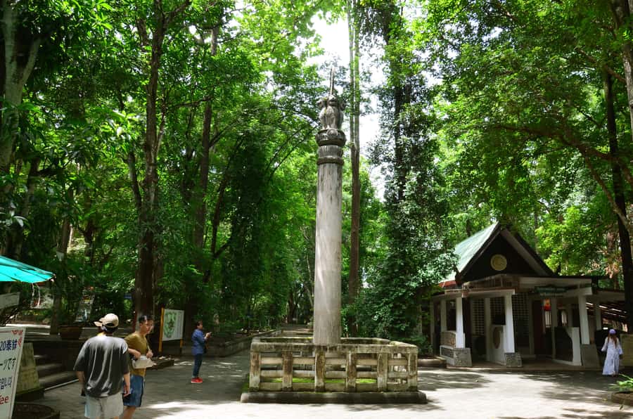 Chiang Mai: 4-hour Doi Suthep, Wat Umong, & Wat Phalat Tour - Timing that makes sense: how the 4-hour pace really feels