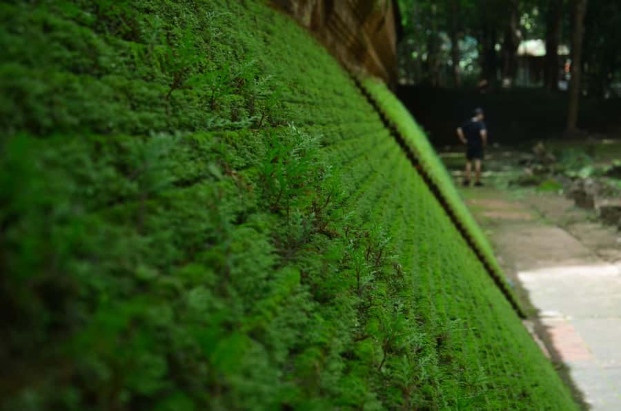 Chiang Mai: 4-hour Doi Suthep, Wat Umong, & Wat Phalat Tour - Wat Umong tunnel corridors and the catfish pond