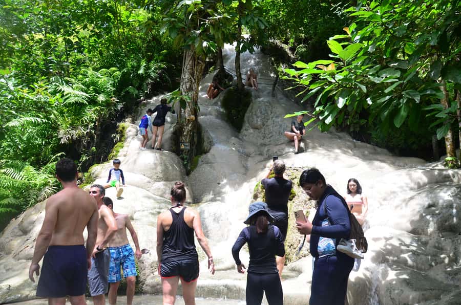 Chiang Mai: 4-Hour Sticky Waterfall Private Tour - Climbing Bua Thong: Limestone Steps, Bare-Foot Feel, and Slippery Spots