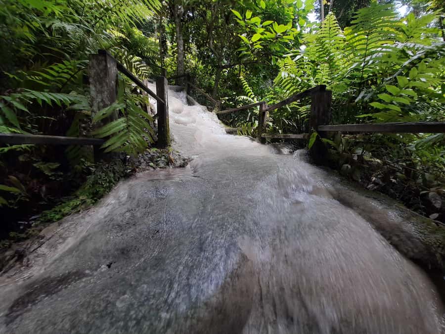 Chiang Mai: 4-Hour Sticky Waterfall Private Tour - The Drive Back and the Bonus Stops That Can Happen