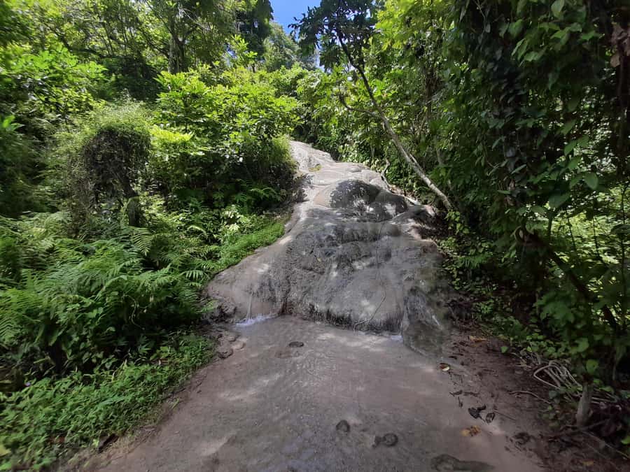 Chiang Mai: 4-Hour Sticky Waterfall Private Tour - Packing Like You’re Really Going to Climb (Not Just Watch)