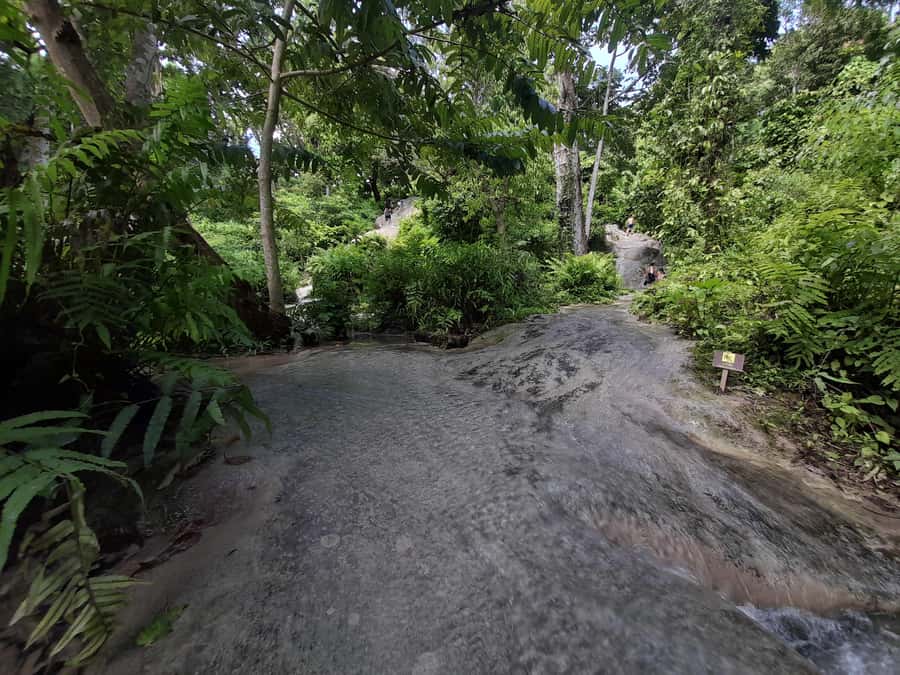 Chiang Mai: 4-Hour Sticky Waterfall Private Tour - Who This Tour Fits Best (And Who Should Think Twice)