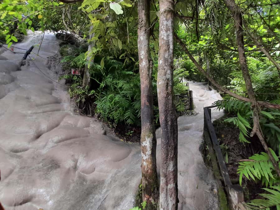 Chiang Mai: 4-Hour Sticky Waterfall Private Tour - Should You Book This Chiang Mai Sticky Waterfall Private Tour?
