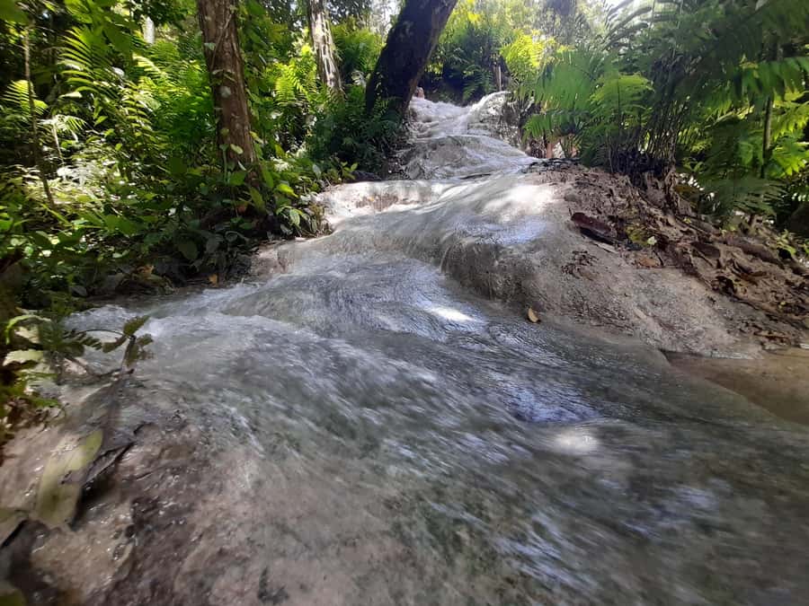 Chiang Mai: 4-Hour Sticky Waterfall Private Tour - FAQ