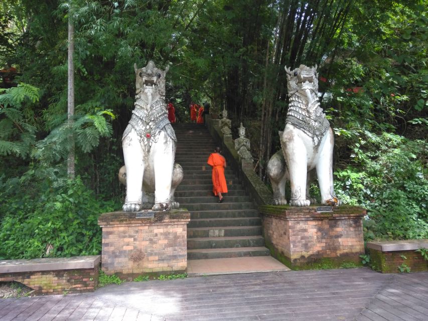 Chiang Mai: 7-Hour Doi Suthep National Park Summit Hiking - Wat Pha Lat monk-trail hike: the cool-up that actually matters