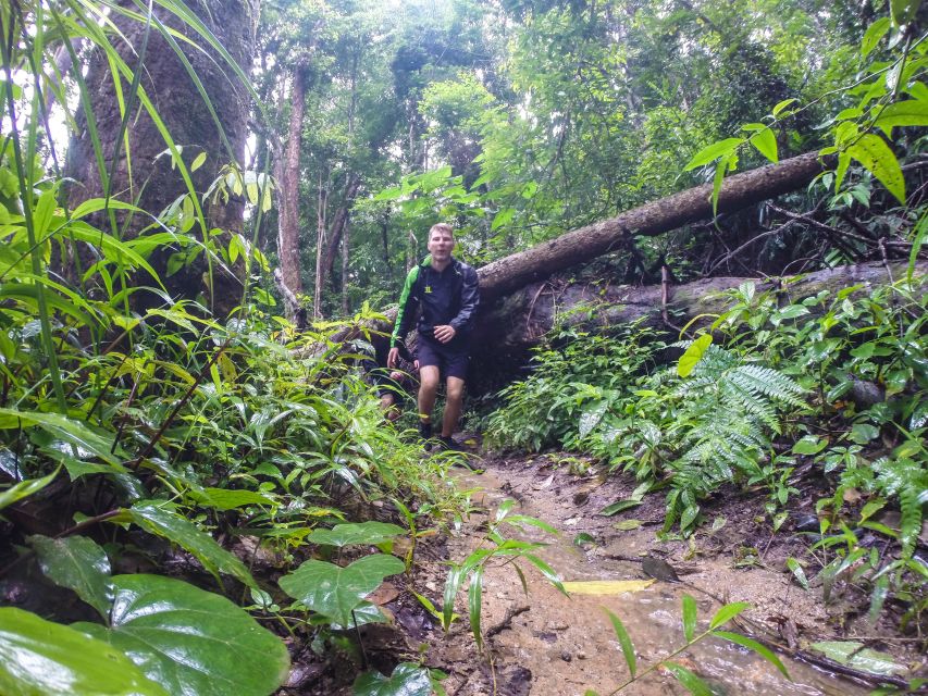Chiang Mai: 7-Hour Doi Suthep National Park Summit Hiking - Doi Suthep–Pui National Park: the jungle trek to Doi Pui