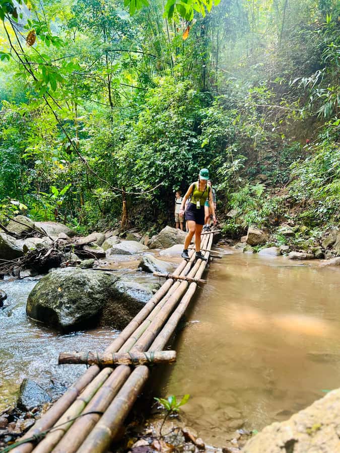 Chiang Mai Adventure: Trekking, Tubing & Waterfall Slide - A day that hits three different kinds of fun in Chiang Mai