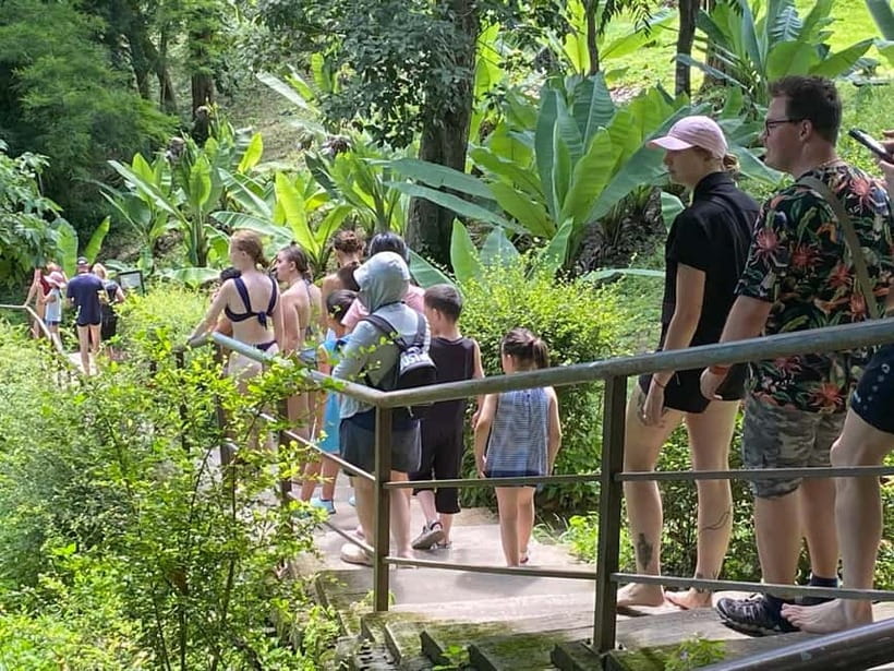 Chiang Mai: Afternoon Bua Tong Sticky Waterfall by Red Taxi - Price and value for a $32 afternoon outing