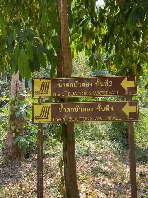 Chiang Mai: Afternoon Bua Tong Sticky Waterfall by Red Taxi - Should you book the Chiang Mai Bua Tong Sticky Waterfall trip