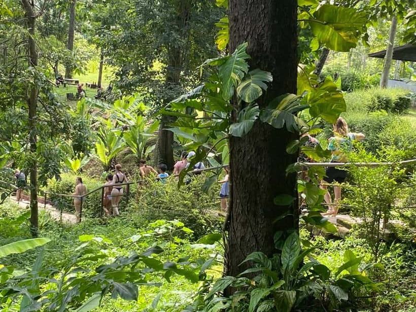 Chiang Mai: Afternoon Bua Tong Sticky Waterfall by Red Taxi - FAQ