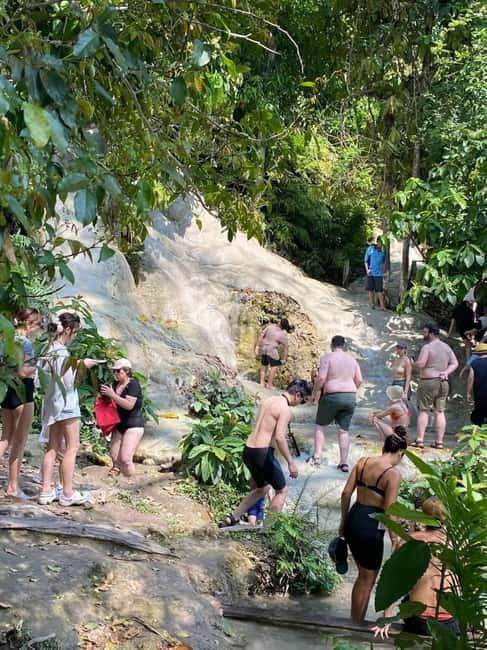 Chiang Mai: Afternoon Bua Tong Sticky Waterfall by Red Taxi - Red Taxi Pickup in Chiang Mai and the Rice-Field Photo Stop