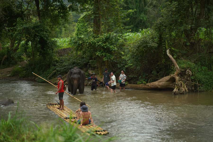 Chiang Mai: ATV Adventure 2-Hrs,Feeding,Rafting & Lunch Trip - Who This Trip Suits Best in Chiang Mai (And Who Should Skip It)