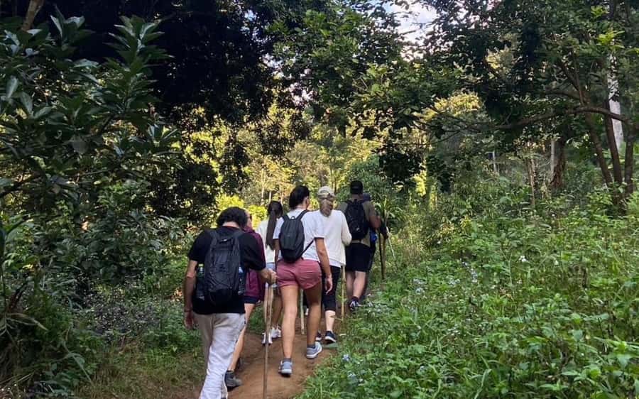 Chiang Mai: ATV Adventure, Jungle Hike & White Water Rafting - Price and value: what $87 buys you in the real world