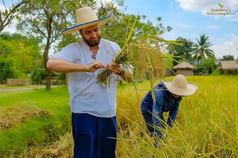 Chiang Mai: Authentic Thai Cooking Class and Farm Visit - Eating Together: Sharing Plates and Sampling Results