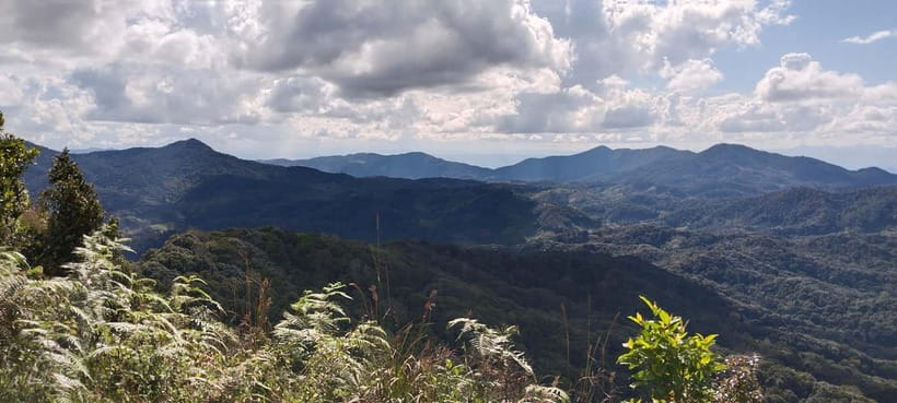 Chiang Mai Authentic Trekking - The morning start: pickup, van ride, and a market lunch setup