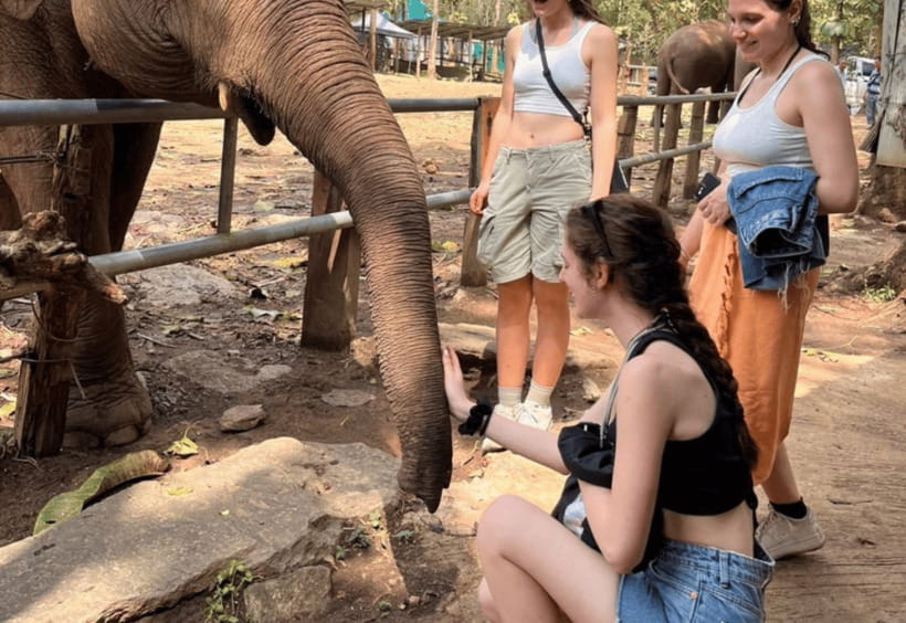 Chiang Mai: Bamboo Rafting with Hotel Transfers - The elephant portion: observation options and what to watch for