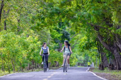 Chiang Mai Bicycle: Into The Lanna Countryside Guided Tour - Safety on Rural Roads: support is close by, use it