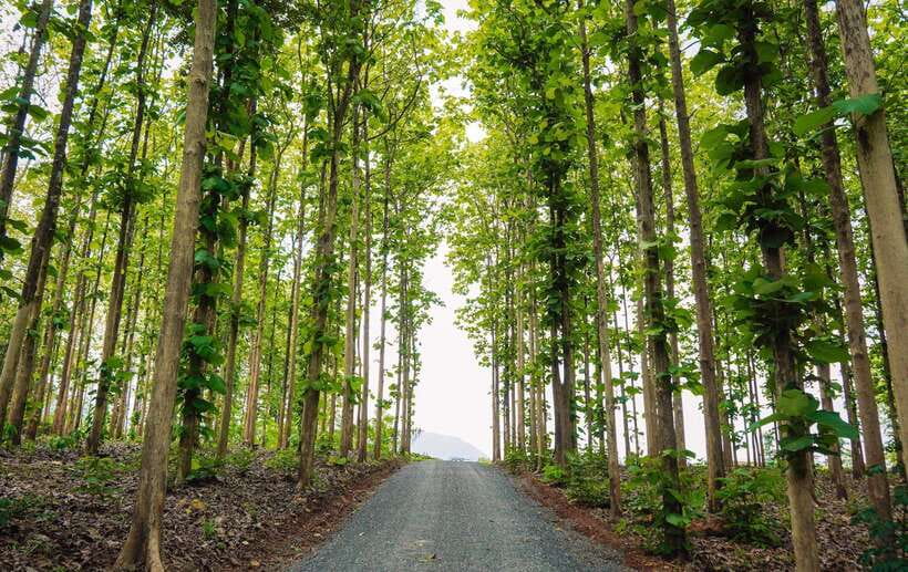 Chiang Mai: Chiang Dao 2 Days 1 Night Private Tour - San Kamphaeng Hot Springs: the easy, low-pressure payoff