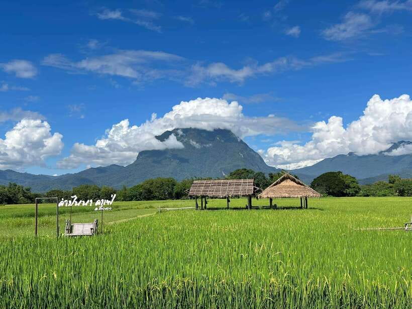 Chiang Mai: Chiang Dao 2 Days 1 Night Private Tour - Stars at dawn and a slow morning: Day 2’s best idea