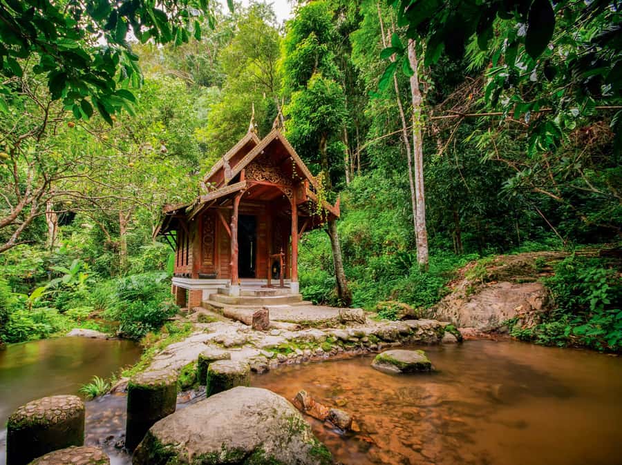 Chiang Mai: Customizable Chiang Mai Surrounding Areas Tour - Mon Jam, zipline thrills, and sticky waterfalls when you want action