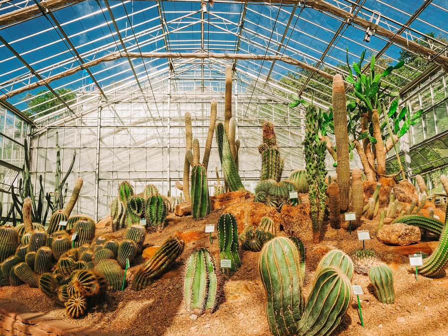 Chiang Mai: Customizable Chiang Mai Surrounding Areas Tour - Queen Sirikit Botanical Garden and Royal Project stops for plant lovers