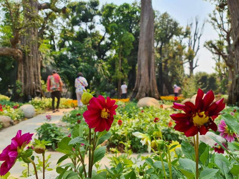 Chiang Mai: Dantewada Land of Angels & Sticky Waterfall Tour - The Seven-Colored Fountain Trail: Where the Sacred Part Starts