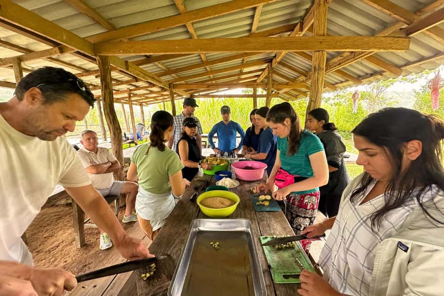 Chiang Mai: Day for Elephant Observation Only Half-day Trip - Key points worth knowing before you go